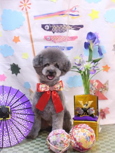 20240508るいくん